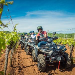 Istra Grand Tour - quad