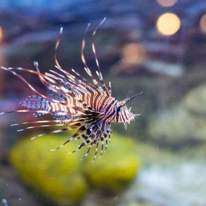 Aquarium & Terrarium Poreč