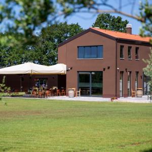 Damjanić Wines
