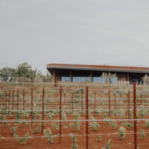 OPG Deklić Wines