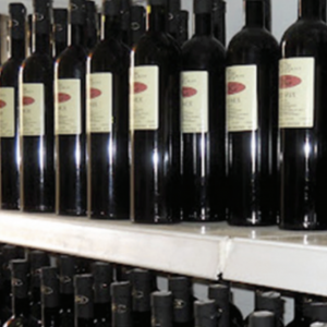 Gašparini Denis Wines