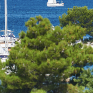 Marina Parentium 