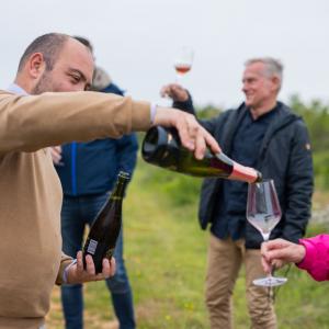 OPG Bernobić Saša - Oh Wine