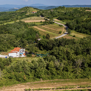 Art Gallery Ante Potočnjak